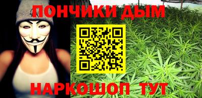 стаф Бердск