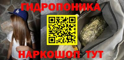 стаф Бердск