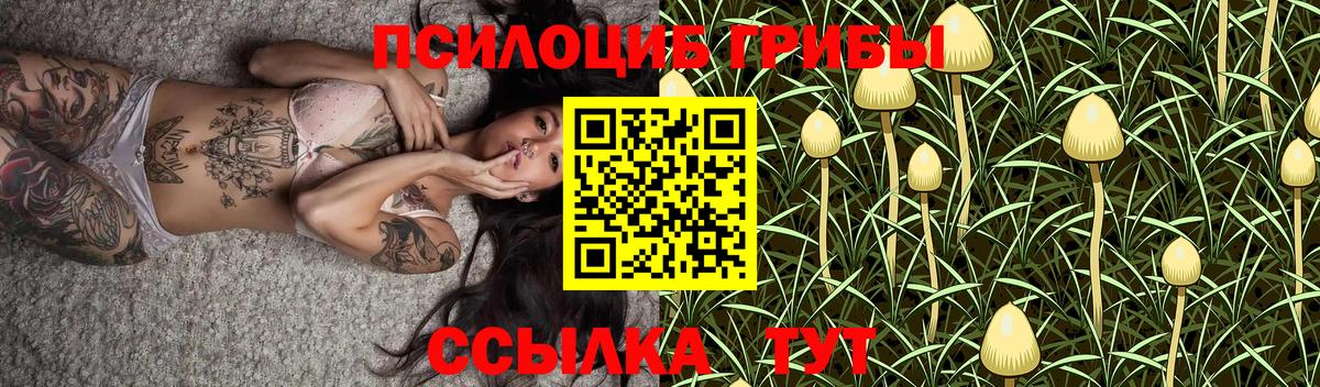 Галлюциногенные грибы Cubensis Артём